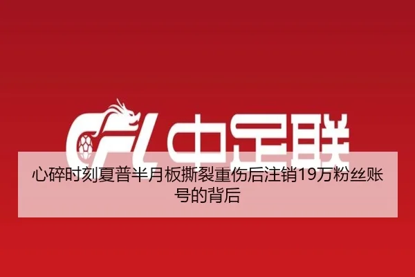 心碎时刻夏普半月板撕裂重伤后注销19万粉丝账号的背后